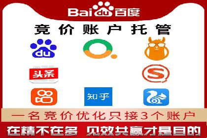 网络推广竞价实战：某电商平台的成功案例